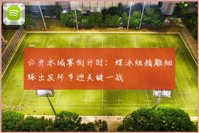 公开水域赛倒计时：蝶泳组精雕细琢出发环节迎关键一战
