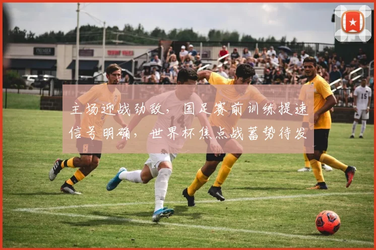 主场迎战劲敌，国足赛前训练提速信号明确，世界杯焦点战蓄势待发