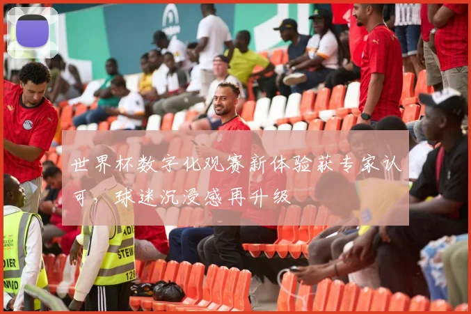 世界杯数字化观赛新体验获专家认可，球迷沉浸感再升级