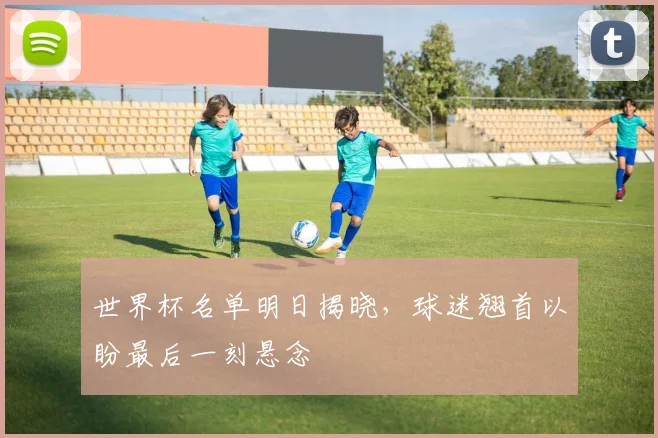 世界杯名单明日揭晓，球迷翘首以盼最后一刻悬念