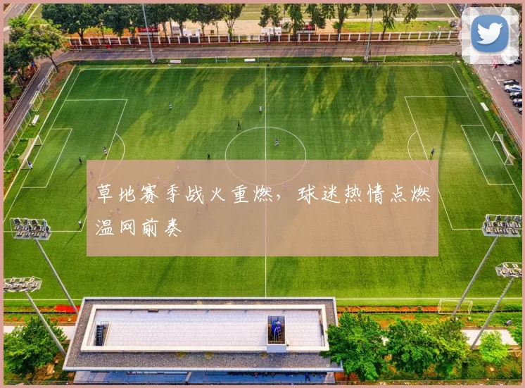 草地赛季战火重燃，球迷热情点燃温网前奏