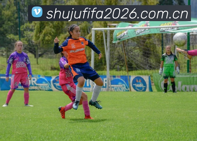 2026世界杯 APP界面展示