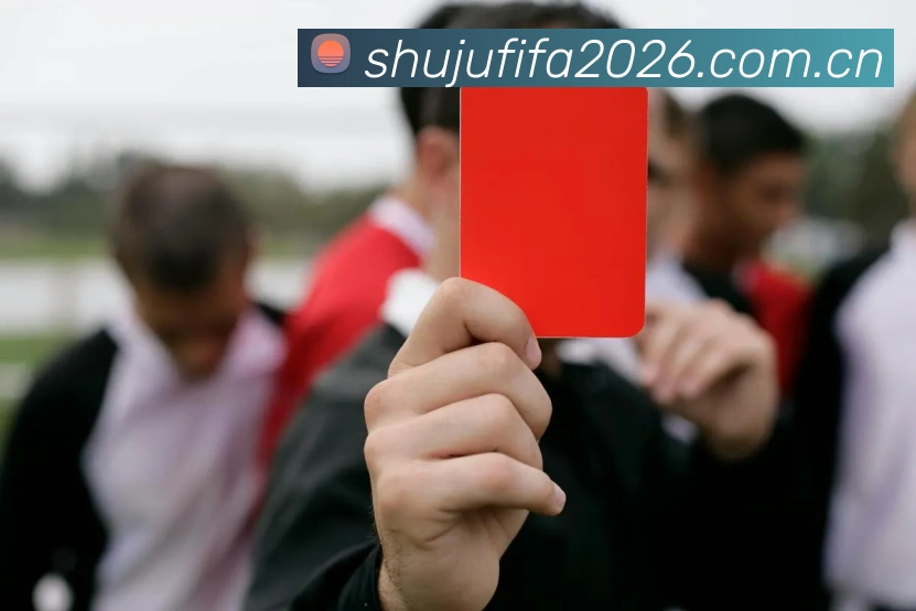 2026世界杯 App 界面展示